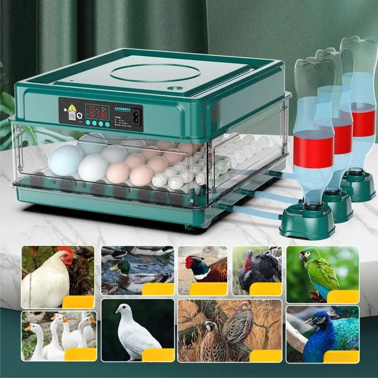 Incubatrice Automatica per Uova con Rotazione e Controllo della Temperatura