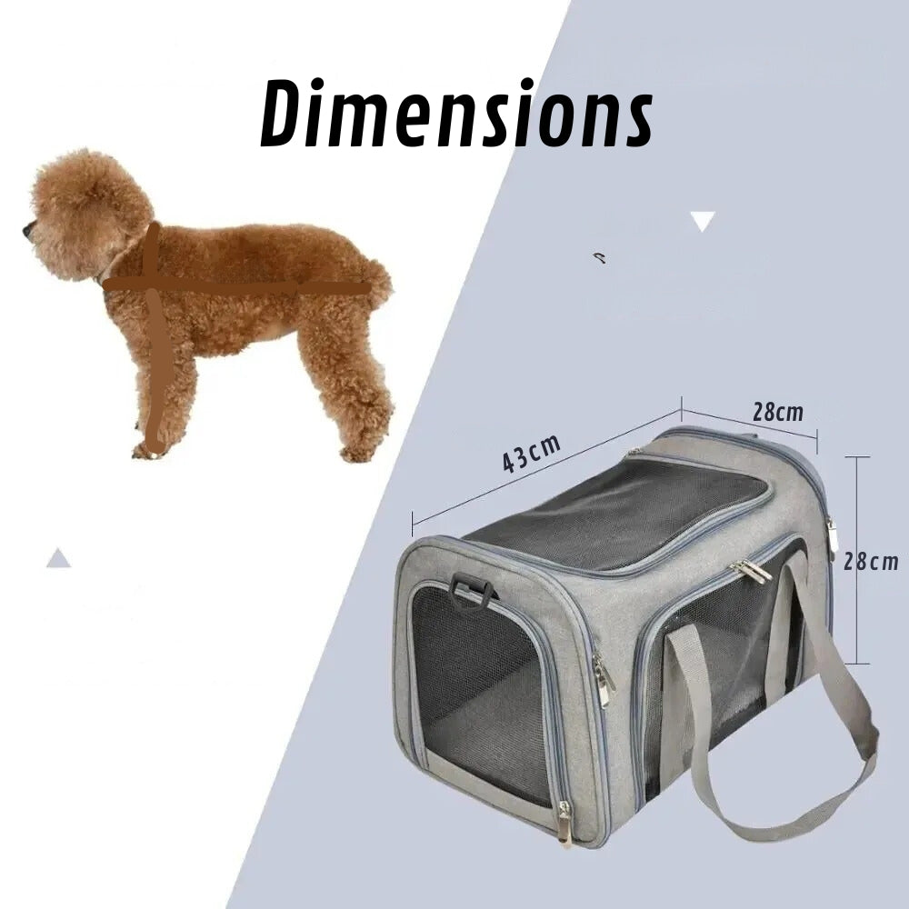 Borsa da Trasporto per Cani per Auto Confortevole e Sicura