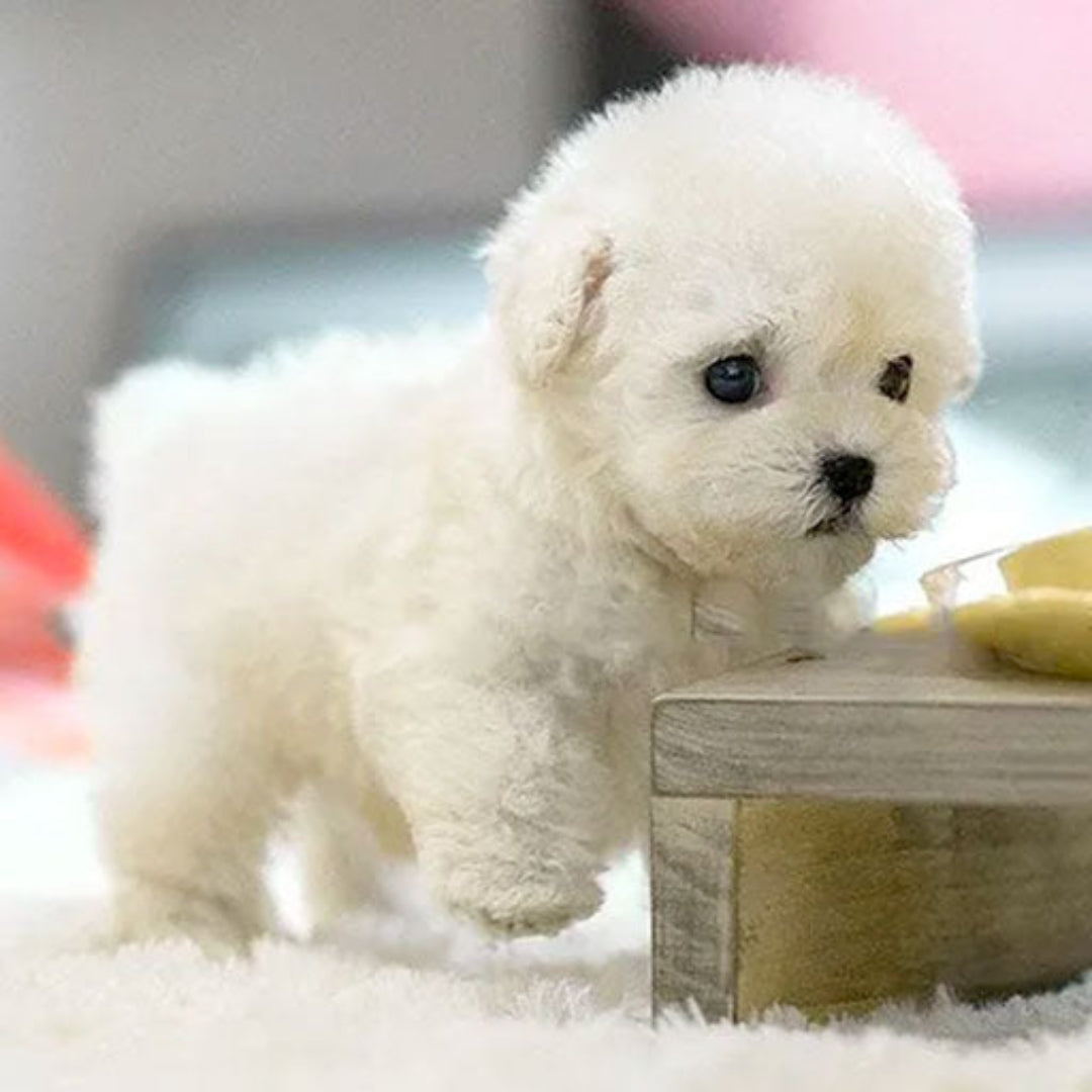 Giocattolo cucciolo elettronico realistico in peluche
