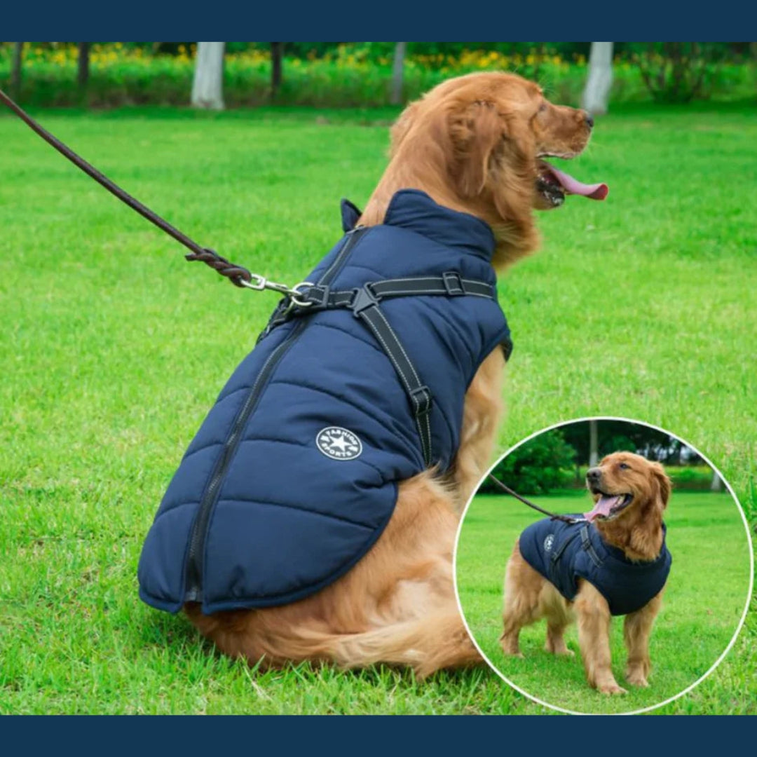 Gilet per Cani Morbido e Impermeabile