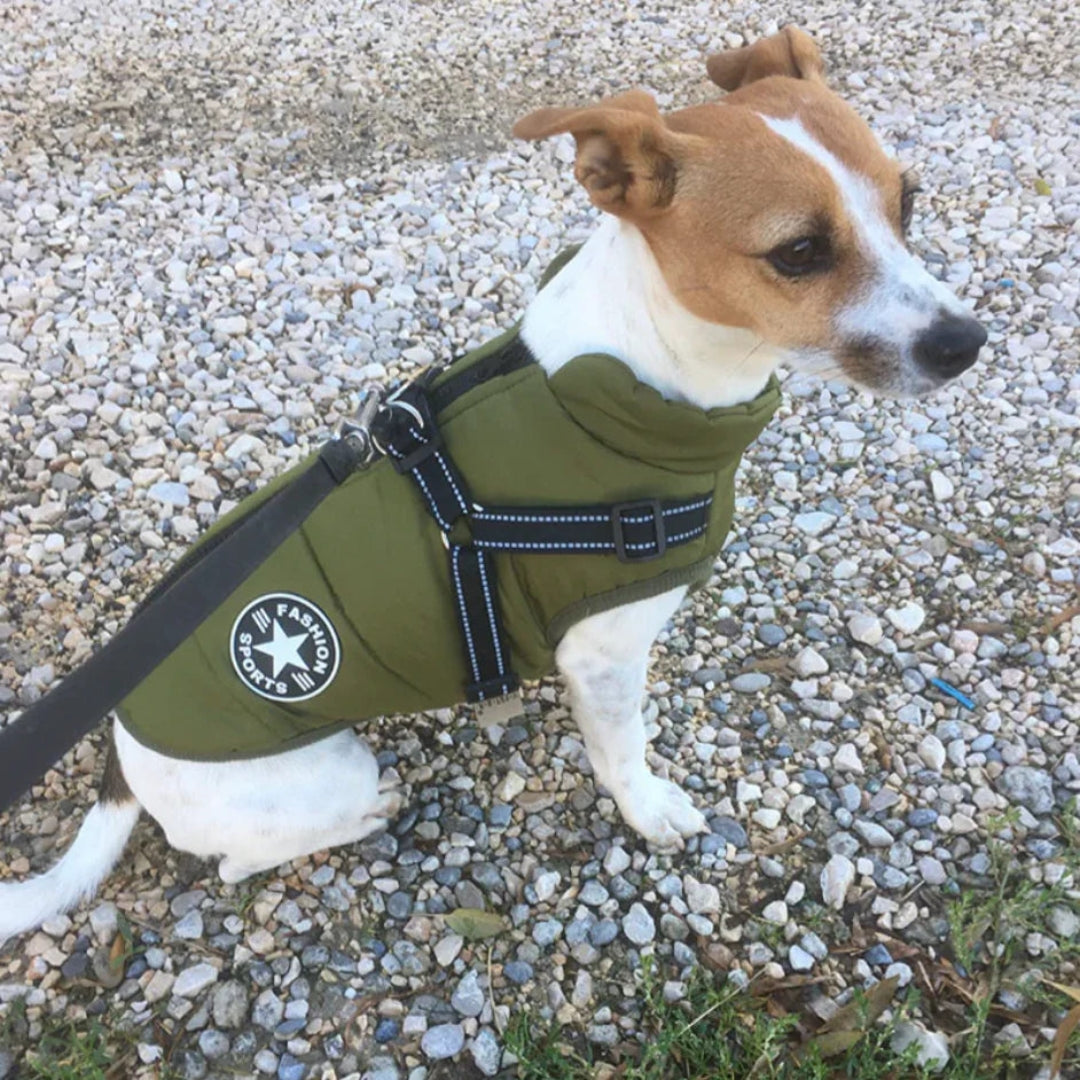 Gilet per Cani Morbido e Impermeabile