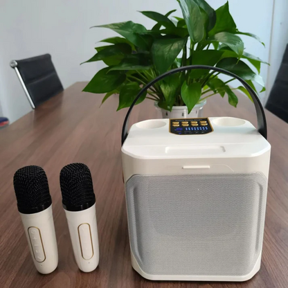 Cassa Bluetooth Portatile Potente con Funzione Karaoke