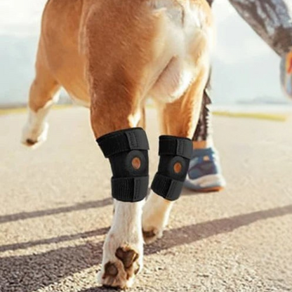 Ginocchiera Ortopedica per Cani per Articolazioni