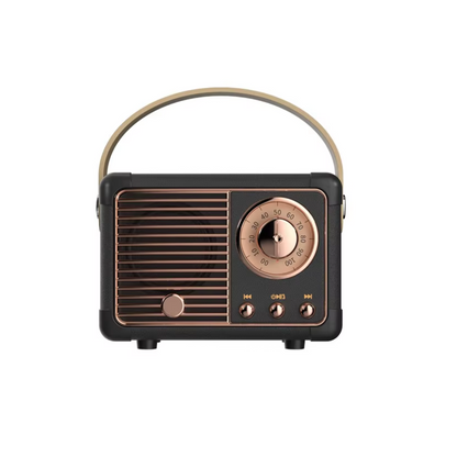 Cassa Bluetooth Vintage Compatta