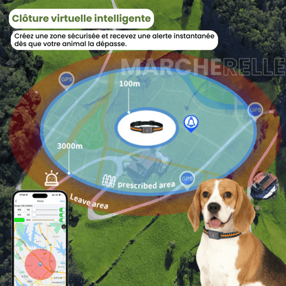 Marcherelle™ – Collier GPS Sans Abonnement avec Suivi en Temps Réel