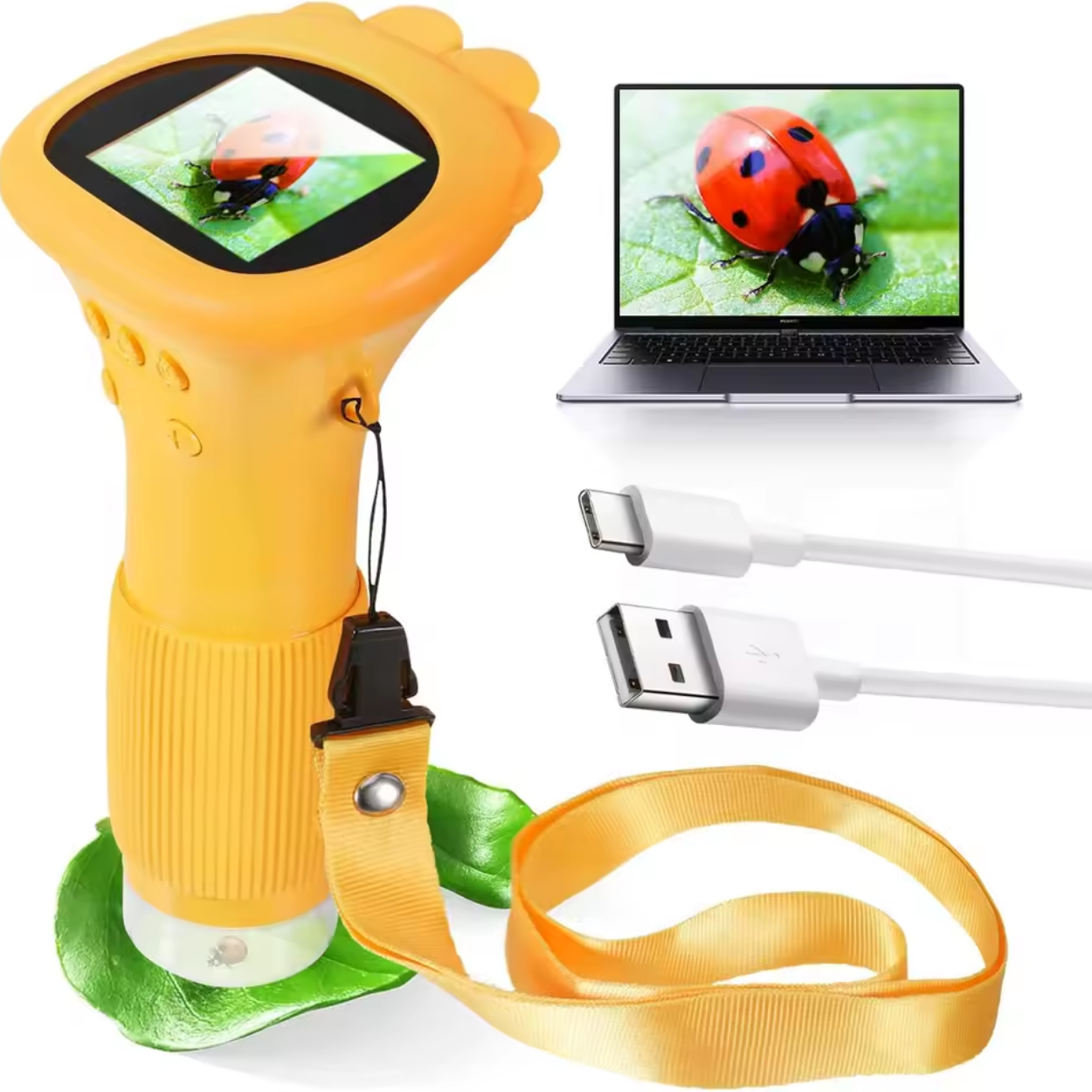 Microscopio per Bambini con Schermo Digitale a Colori