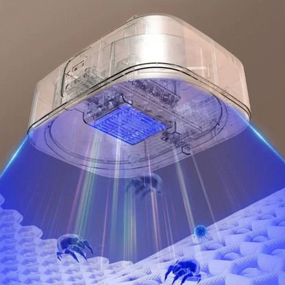Asciugacapelli Elettrico Pieghevole con Funzione 3 in 1