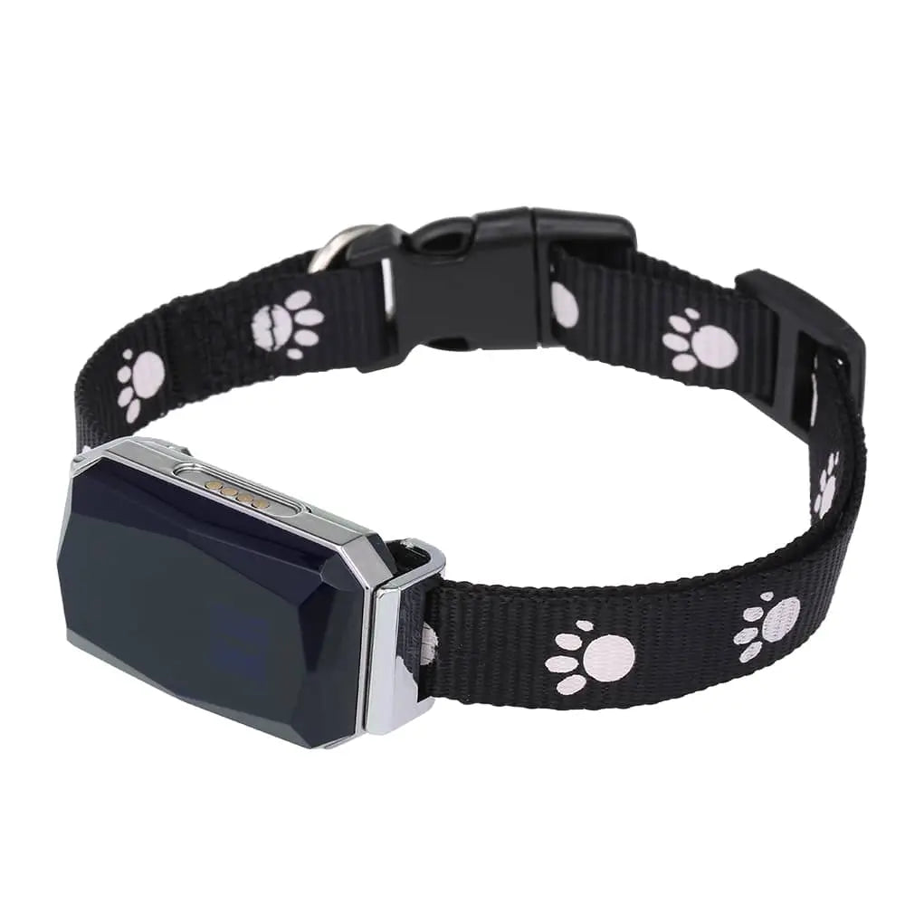 Collier GPS Étanche pour Chien Connecté et Robuste - Santeova