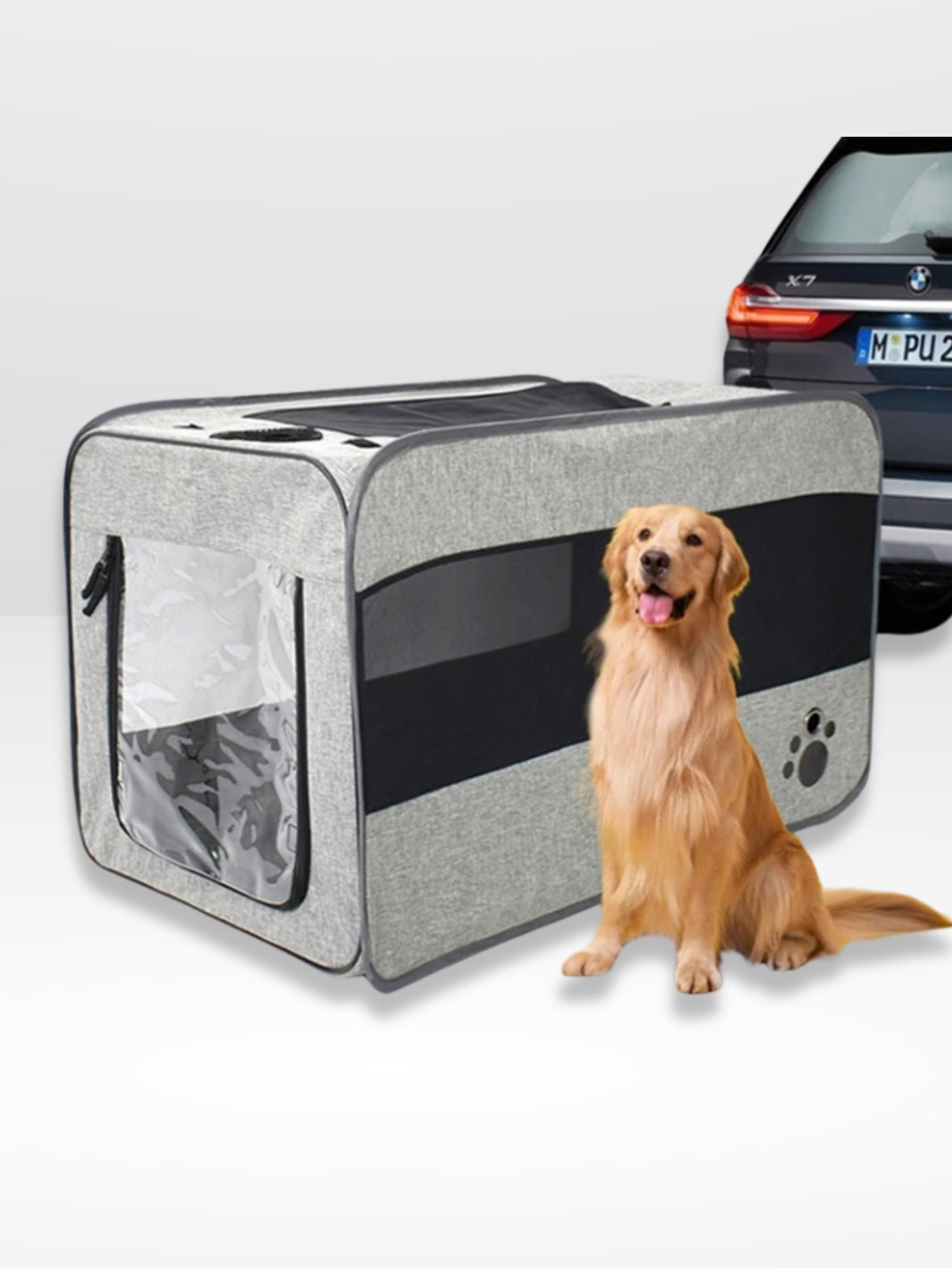 Gabbia da Trasporto per Cani per Auto Leggera e Sicura