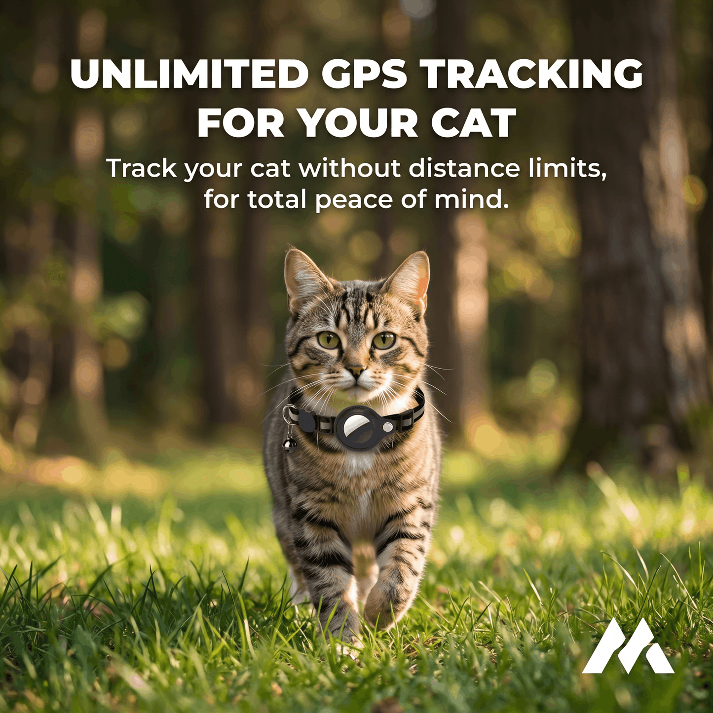 Macherelle™ – Collare GPS per Gatti Senza Abbonamento | Compatibile con iOS e Android