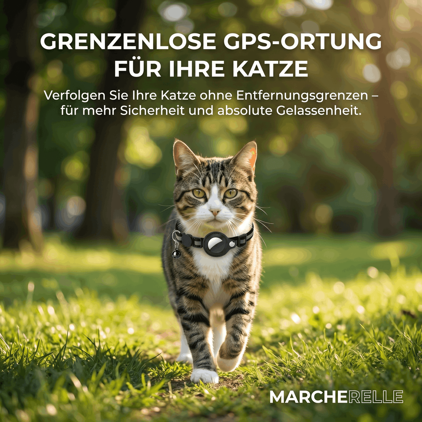 Macherelle™ – Collare GPS per Gatto Senza Abbonamento | Compatibile con iOS e Android