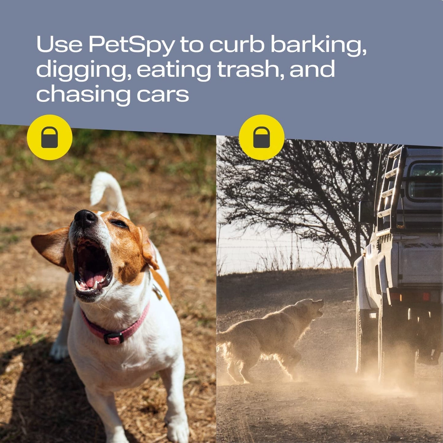 Repellente Ultrasonico Potente per Cani a Lunga Portata